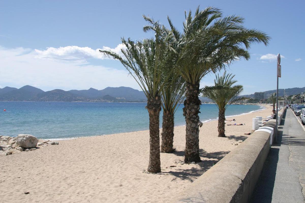 Maisonnette Studio Bas Suquet, Proche Plage Et Palais Cannes Eksteriør bilde